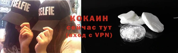 стаф Заводоуковск