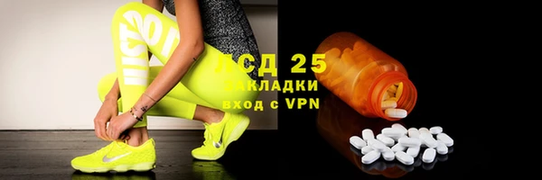 стаф Заводоуковск