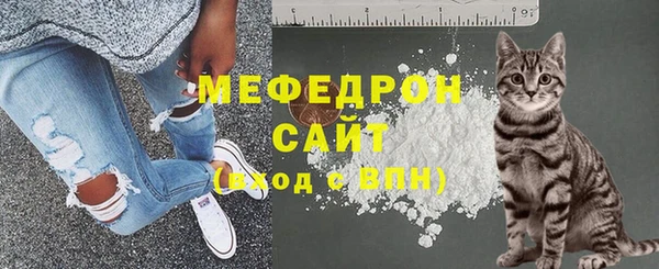 стаф Заводоуковск