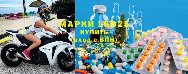 стаф Заводоуковск