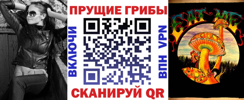 Псилоцибиновые грибы мицелий  hydra как войти  Ильский 